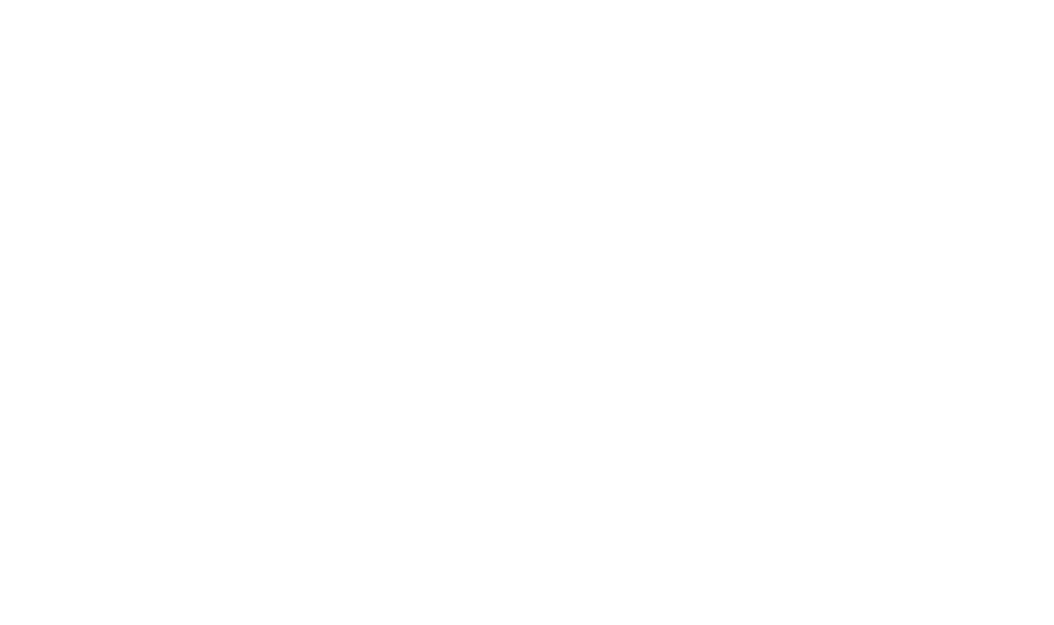 19 Adidas Logo