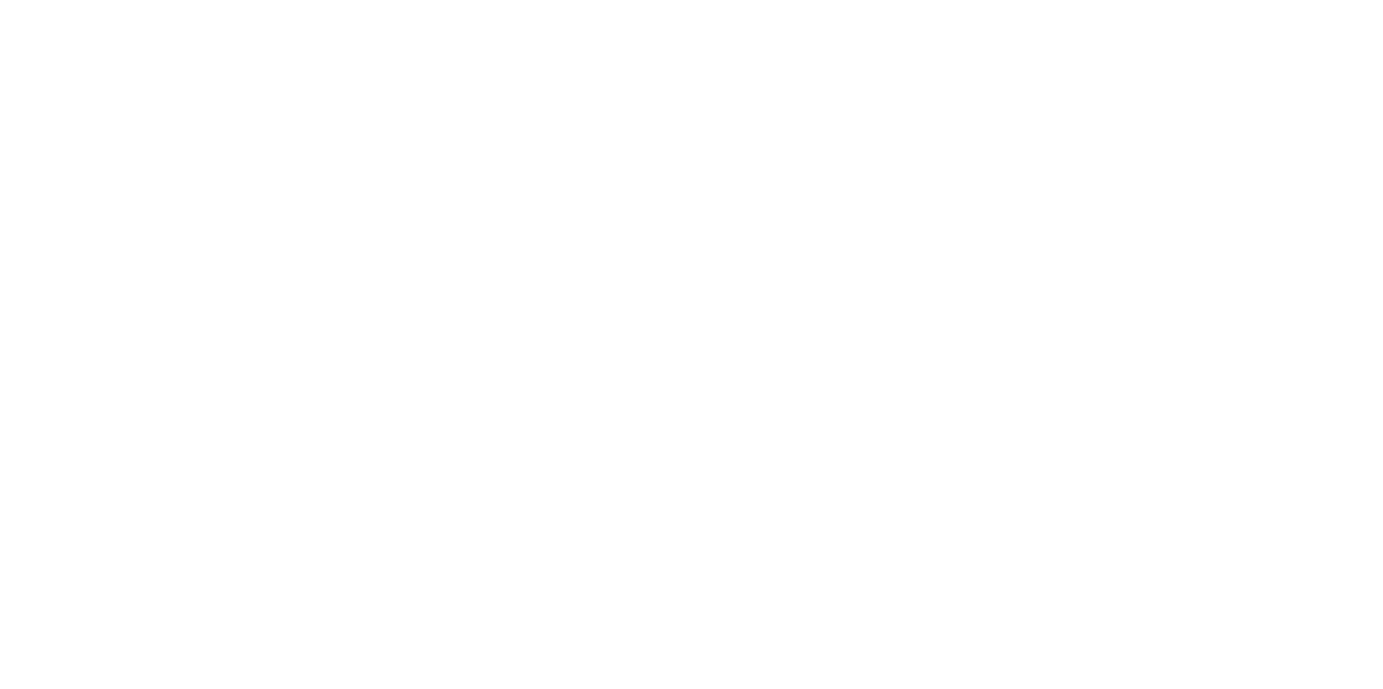 9 ARD ZDF Logo